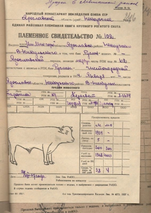 Племенное свидетельство. 1934г.